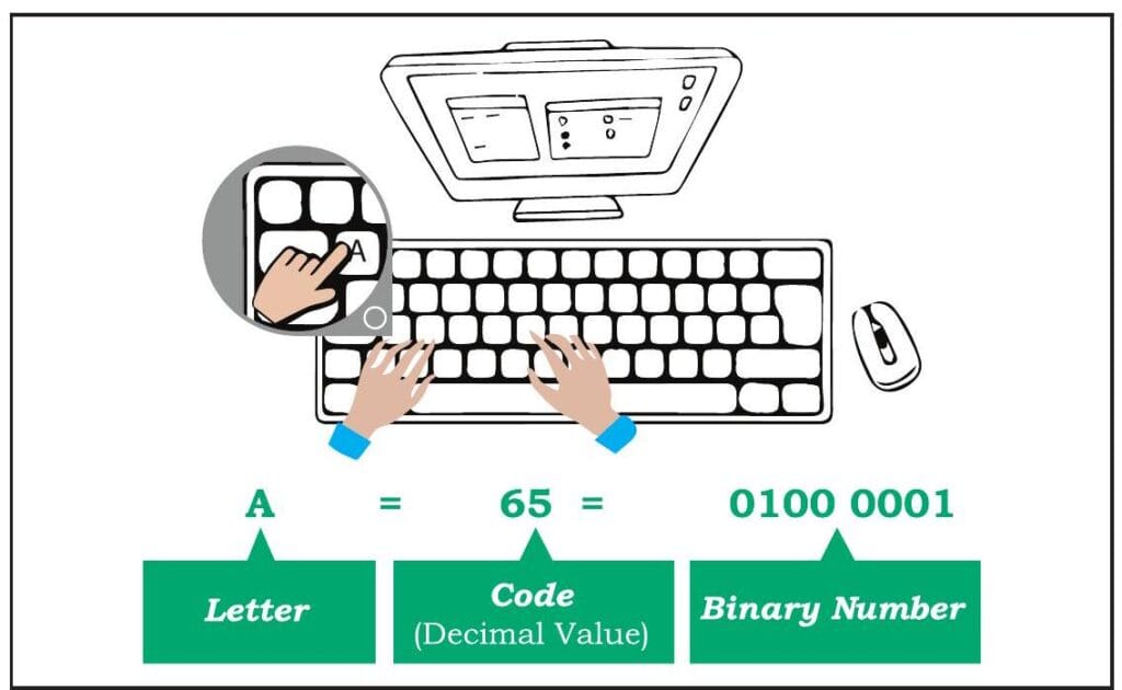 Number Systems: Grade 8 ICT Lesson 1