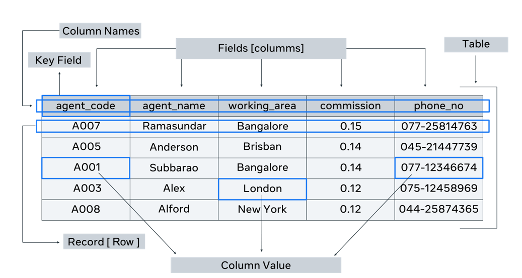 basic database structure with tables fields and relationships